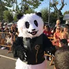 pandabiker84