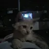 выход есть