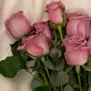 lis__tiiiio