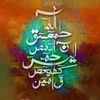 jabbarkhan5602