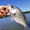 crappie2021