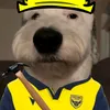 daisy_bear.oufc