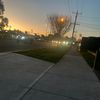 dan_theman3535