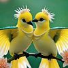 neel.akash845