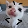 ayokomay_amo_nako