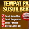 JASA PASANG SUSUK