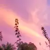 jl000130000