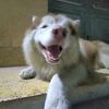 __kimo_906