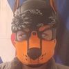 pup_woolfer_alpha_nysnc