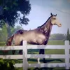 skystables