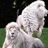 user5gfsx50sh9