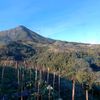 wahyuningsih19972