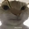 louis_vu1506