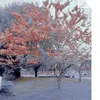 peisyuan71
