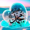 iris_flowerss