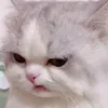 _tolaminhan_1.2.0.9_
