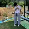 itsmi_hev_ren