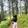 araa_ya
