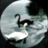 nora.s.saad