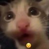 lemi4_