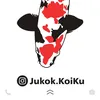 jukok.koiku