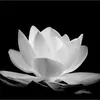 danh.nht98