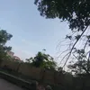 cotugiaidoancuoi