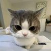 qaleesya_1307