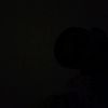 buto.ijwo081