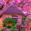 thanh.nguyen0614