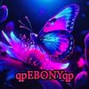 qpebonyqp