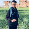 mostafaelkamhawi1