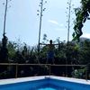 checha0803