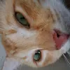 mrfeezy123