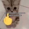 ronald_torres_13