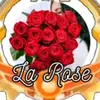 larosedusudouest16