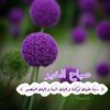 nabeelaabusada