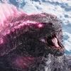 sebis.zilla