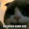 callmeafi_05