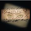 dya40dq0j5zk