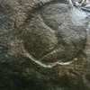 arjelgallera4