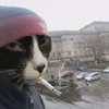 itzmecutipieee