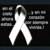 alexreyes1733