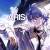 a.4ris_amp