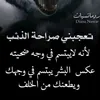 user56536168037266