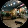 quoc_bao0810