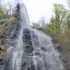 gajapalka