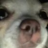 r_cam0