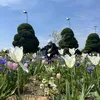 dyxguqp4prd6