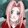 dx.shani.chan.xd